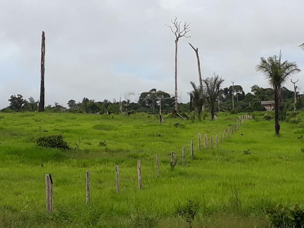 Comprar Rurais / Fazenda em Cujubim apenas R$ 4.800.000,00 - Foto 4 Comprar Rurais / Fazenda em Cujubim apenas R$ 4.800.000,00 - Foto 4