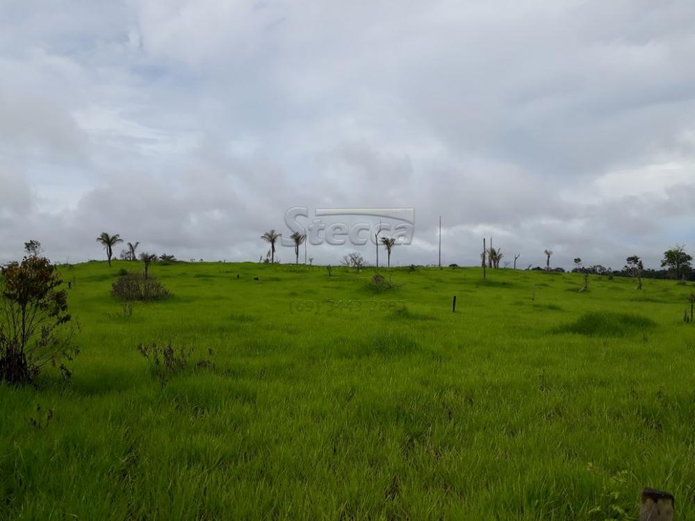 Comprar Rurais / Fazenda em Cujubim apenas R$ 4.800.000,00 - Foto 5 Comprar Rurais / Fazenda em Cujubim apenas R$ 4.800.000,00 - Foto 5
