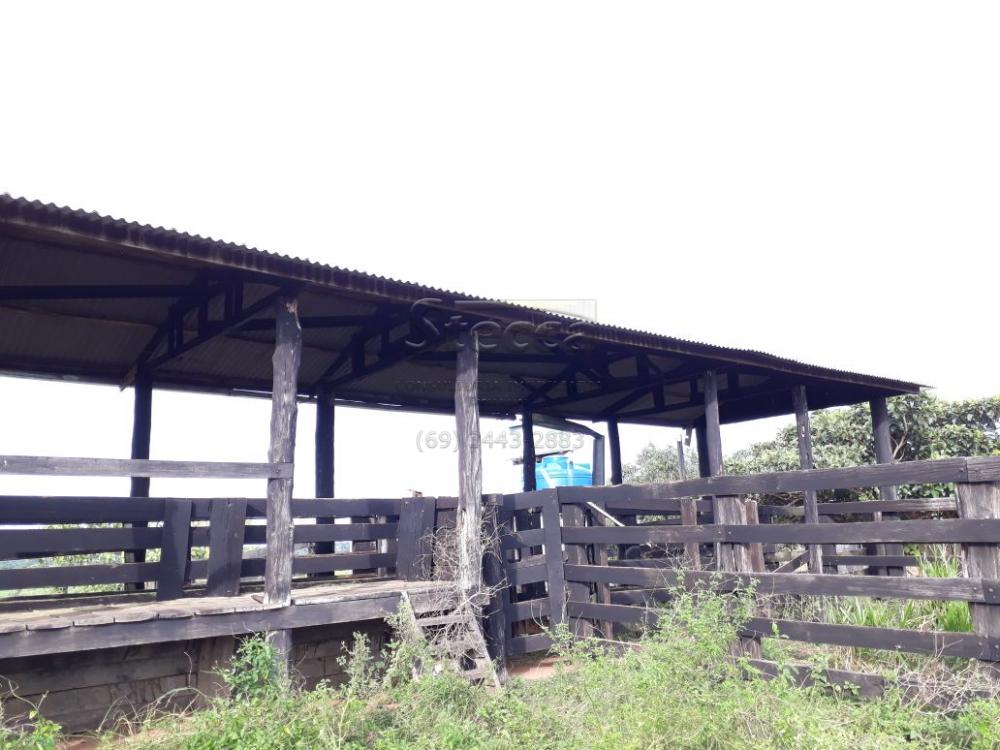Comprar Rurais / Fazenda em Cujubim apenas R$ 4.800.000,00 - Foto 6 Comprar Rurais / Fazenda em Cujubim apenas R$ 4.800.000,00 - Foto 6