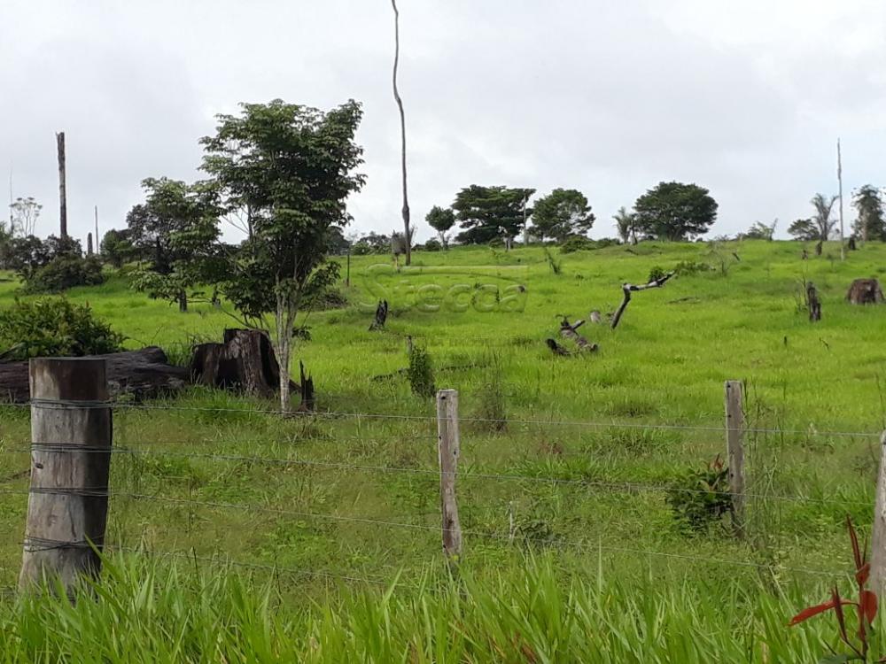 Comprar Rurais / Fazenda em Cujubim apenas R$ 4.800.000,00 - Foto 7 Comprar Rurais / Fazenda em Cujubim apenas R$ 4.800.000,00 - Foto 7