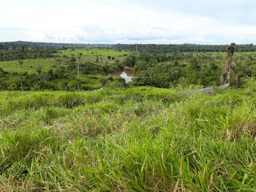 Comprar Rurais / Fazenda em Cujubim apenas R$ 4.800.000,00 - Foto 9 Comprar Rurais / Fazenda em Cujubim apenas R$ 4.800.000,00 - Foto 9