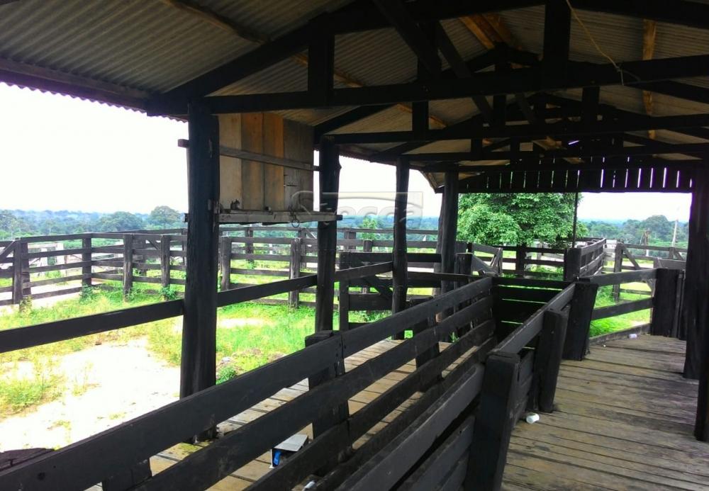 Comprar Rurais / Fazenda em Cujubim apenas R$ 4.800.000,00 - Foto 13 Comprar Rurais / Fazenda em Cujubim apenas R$ 4.800.000,00 - Foto 13