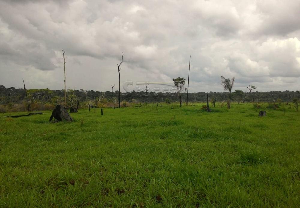 Comprar Rurais / Fazenda em Cujubim apenas R$ 4.800.000,00 - Foto 11 Comprar Rurais / Fazenda em Cujubim apenas R$ 4.800.000,00 - Foto 11
