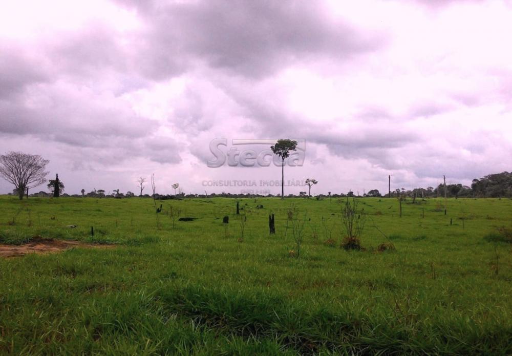 Comprar Rurais / Fazenda em Cujubim apenas R$ 4.800.000,00 - Foto 16 Comprar Rurais / Fazenda em Cujubim apenas R$ 4.800.000,00 - Foto 16