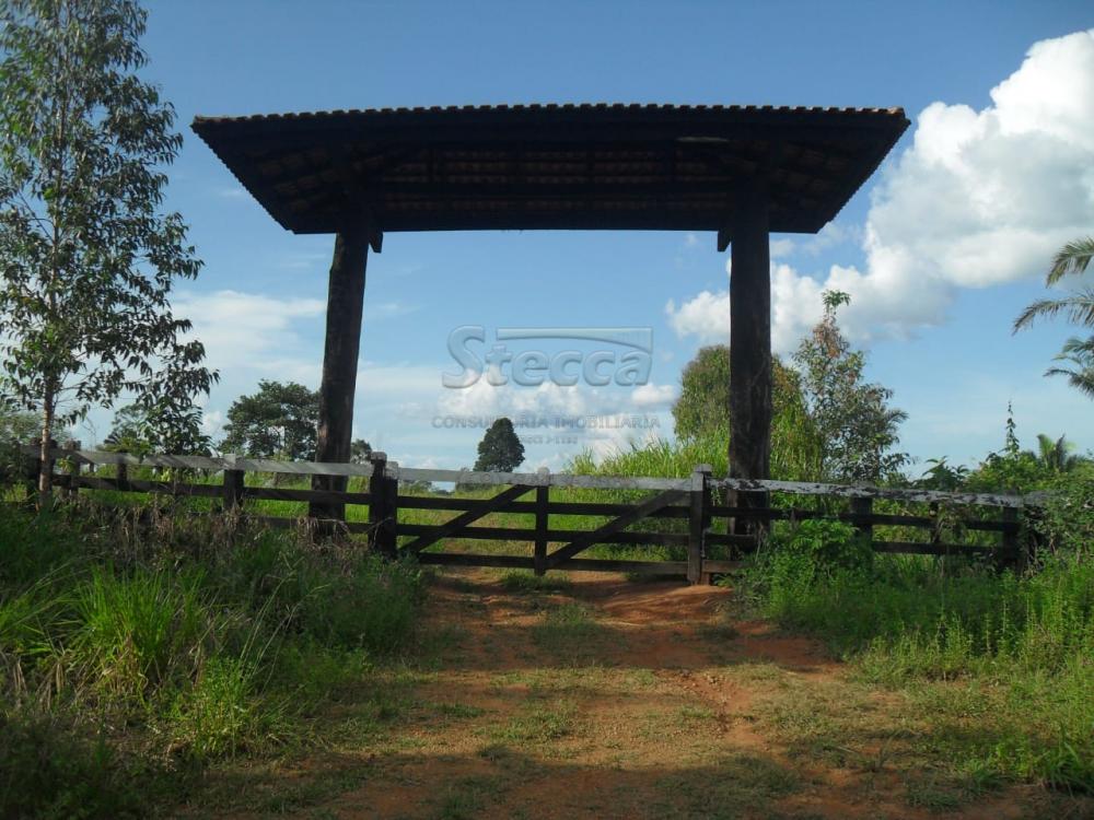 Comprar Rurais / Fazenda em Ariquemes apenas R$ 10.000.000,00 - Foto 1 Comprar Rurais / Fazenda em Ariquemes apenas R$ 10.000.000,00 - Foto 1
