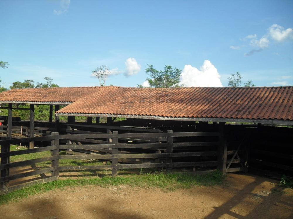 Comprar Rurais / Fazenda em Ariquemes apenas R$ 10.000.000,00 - Foto 3 Comprar Rurais / Fazenda em Ariquemes apenas R$ 10.000.000,00 - Foto 3