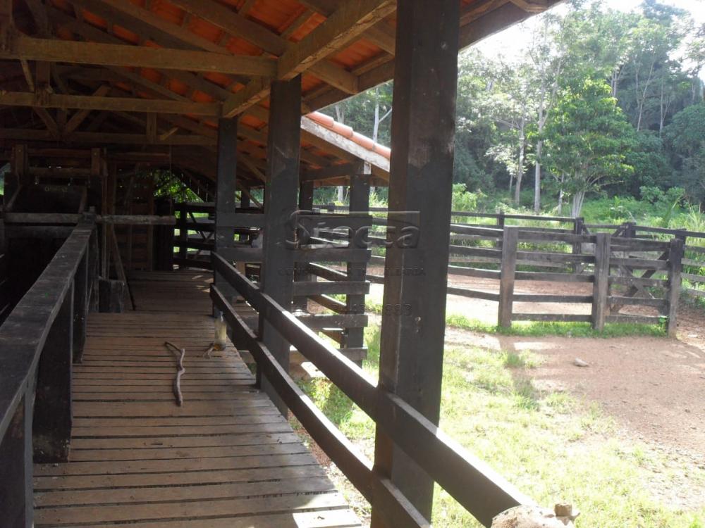 Comprar Rurais / Fazenda em Ariquemes apenas R$ 10.000.000,00 - Foto 4 Comprar Rurais / Fazenda em Ariquemes apenas R$ 10.000.000,00 - Foto 4