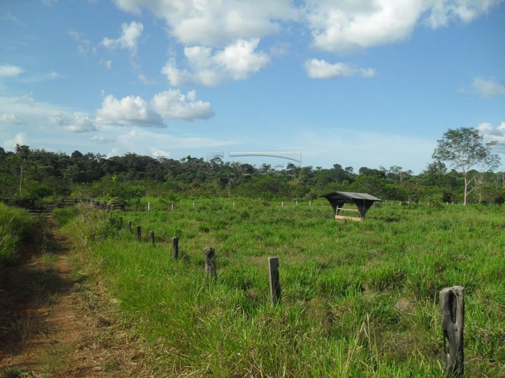 Comprar Rurais / Fazenda em Ariquemes apenas R$ 10.000.000,00 - Foto 6 Comprar Rurais / Fazenda em Ariquemes apenas R$ 10.000.000,00 - Foto 6