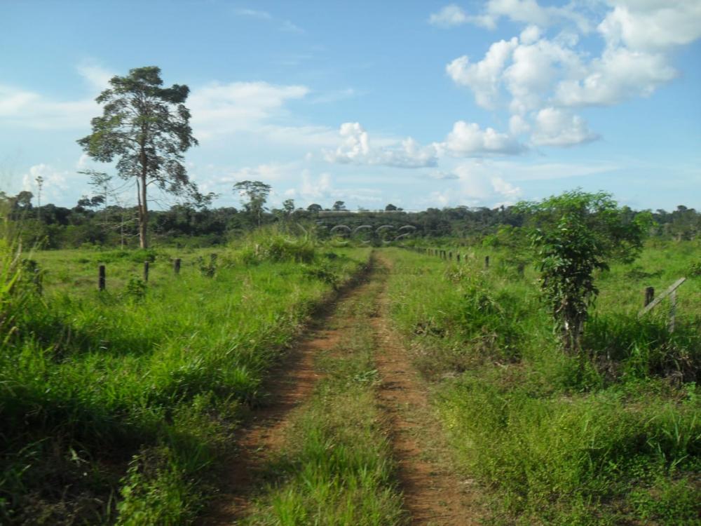 Comprar Rurais / Fazenda em Ariquemes apenas R$ 10.000.000,00 - Foto 9 Comprar Rurais / Fazenda em Ariquemes apenas R$ 10.000.000,00 - Foto 9