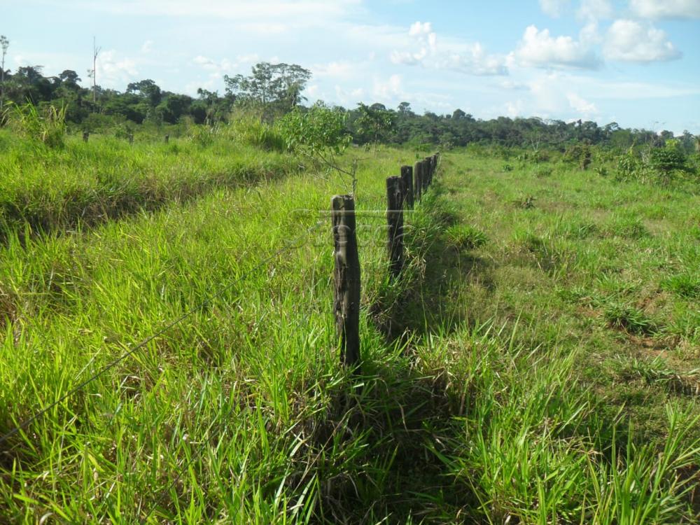 Comprar Rurais / Fazenda em Ariquemes apenas R$ 10.000.000,00 - Foto 10 Comprar Rurais / Fazenda em Ariquemes apenas R$ 10.000.000,00 - Foto 10