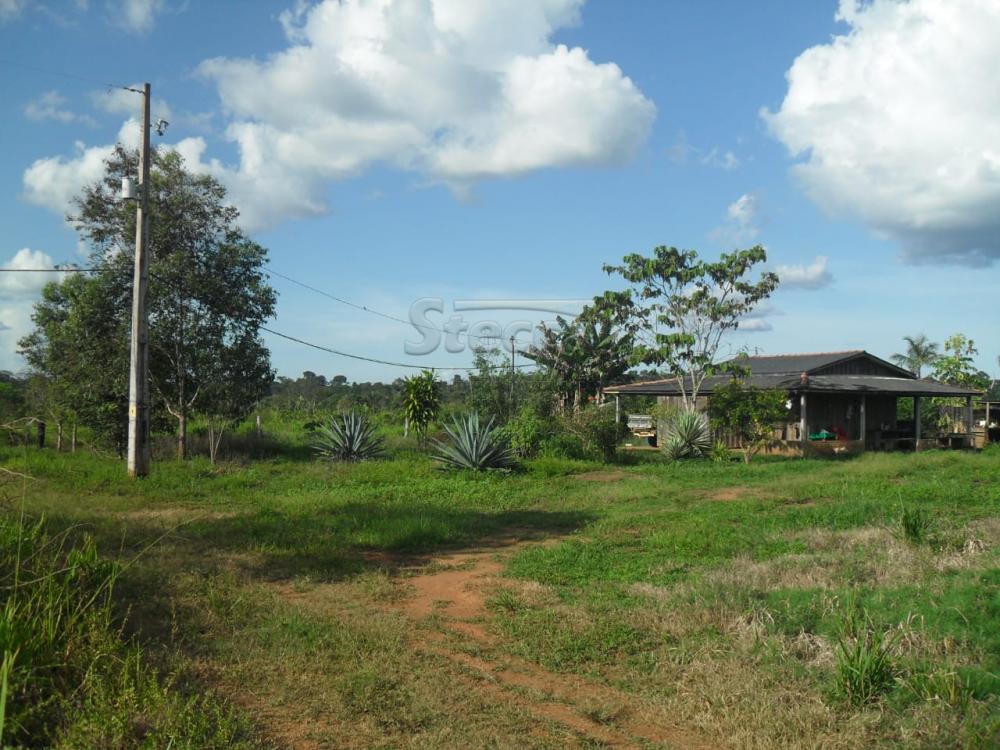 Comprar Rurais / Fazenda em Ariquemes apenas R$ 10.000.000,00 - Foto 11 Comprar Rurais / Fazenda em Ariquemes apenas R$ 10.000.000,00 - Foto 11