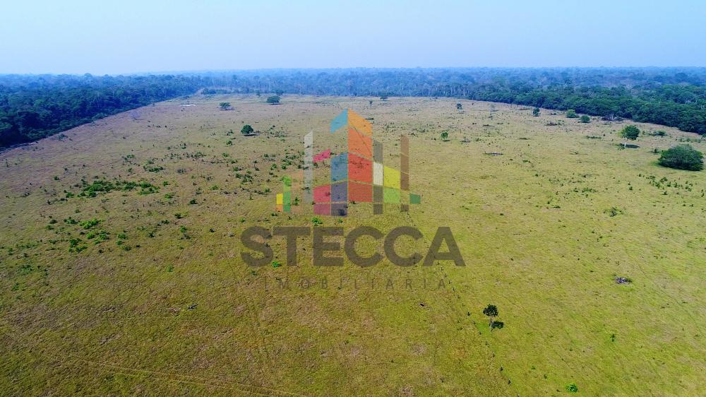 Comprar Rurais / Fazenda em Parecis apenas R$ 4.375.000,00 - Foto 6 Comprar Rurais / Fazenda em Parecis apenas R$ 4.375.000,00 - Foto 6