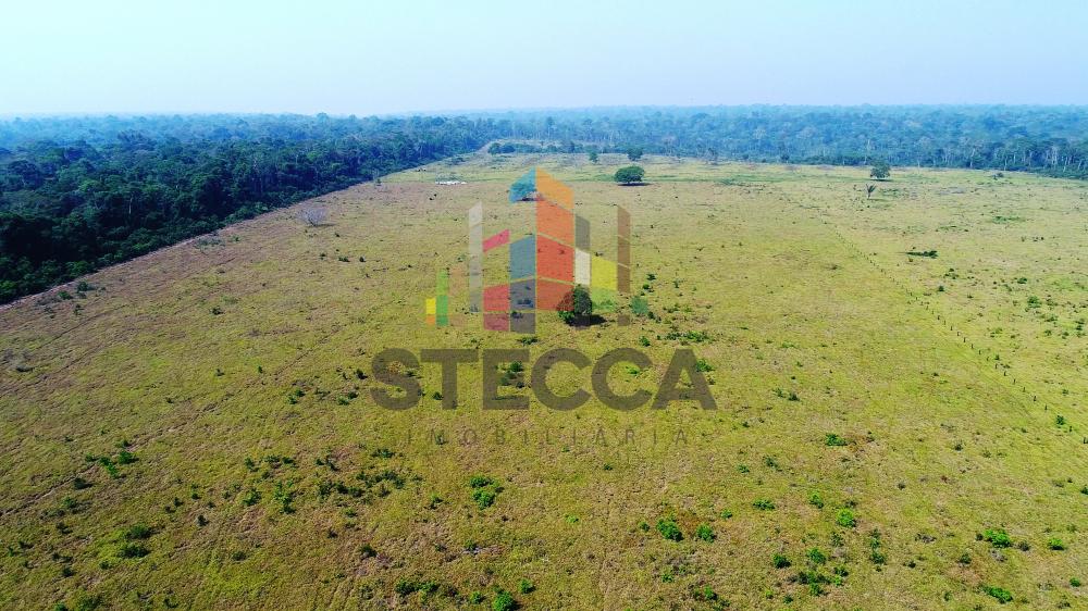Comprar Rurais / Fazenda em Parecis apenas R$ 4.375.000,00 - Foto 8 Comprar Rurais / Fazenda em Parecis apenas R$ 4.375.000,00 - Foto 8