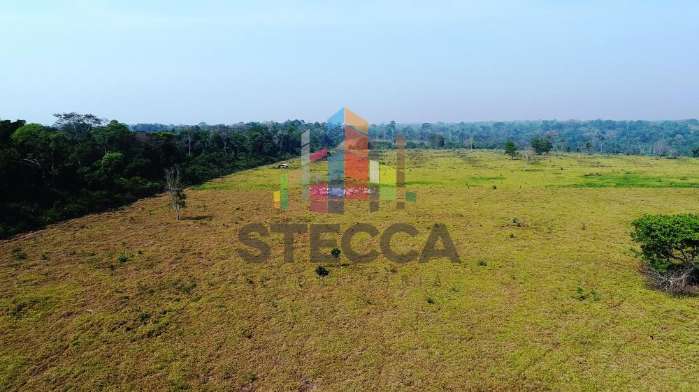 Comprar Rurais / Fazenda em Parecis apenas R$ 4.375.000,00 - Foto 10 Comprar Rurais / Fazenda em Parecis apenas R$ 4.375.000,00 - Foto 10