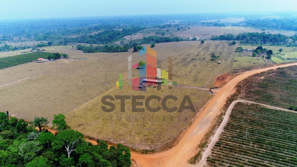 Comprar Rurais / Fazenda em Parecis apenas R$ 4.375.000,00 - Foto 2 Comprar Rurais / Fazenda em Parecis apenas R$ 4.375.000,00 - Foto 2