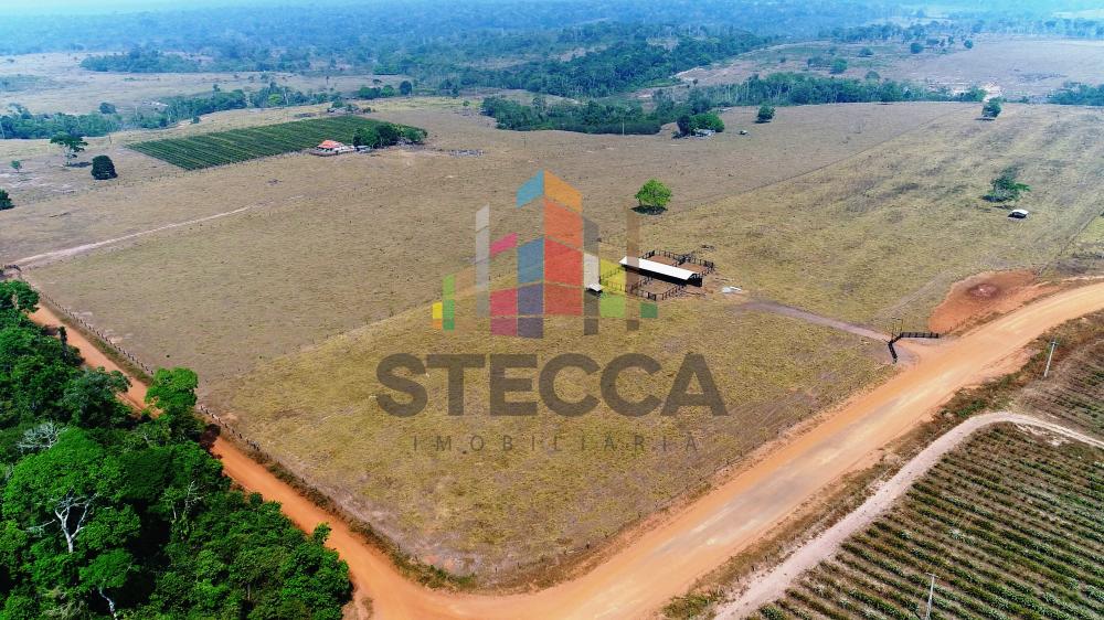 Comprar Rurais / Fazenda em Parecis apenas R$ 4.375.000,00 - Foto 3 Comprar Rurais / Fazenda em Parecis apenas R$ 4.375.000,00 - Foto 3