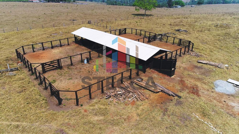 Comprar Rurais / Fazenda em Parecis apenas R$ 4.375.000,00 - Foto 11 Comprar Rurais / Fazenda em Parecis apenas R$ 4.375.000,00 - Foto 11