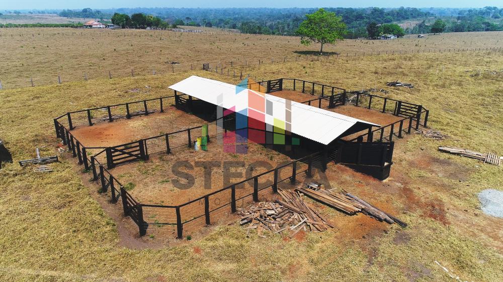 Comprar Rurais / Fazenda em Parecis apenas R$ 4.375.000,00 - Foto 13 Comprar Rurais / Fazenda em Parecis apenas R$ 4.375.000,00 - Foto 13