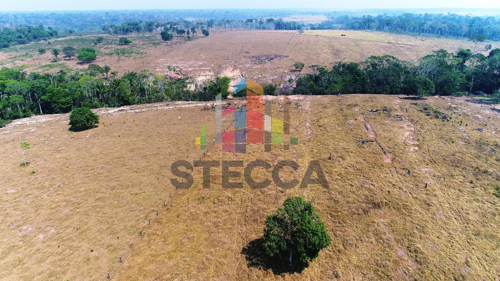 Comprar Rurais / Fazenda em Parecis apenas R$ 4.375.000,00 - Foto 14 Comprar Rurais / Fazenda em Parecis apenas R$ 4.375.000,00 - Foto 14