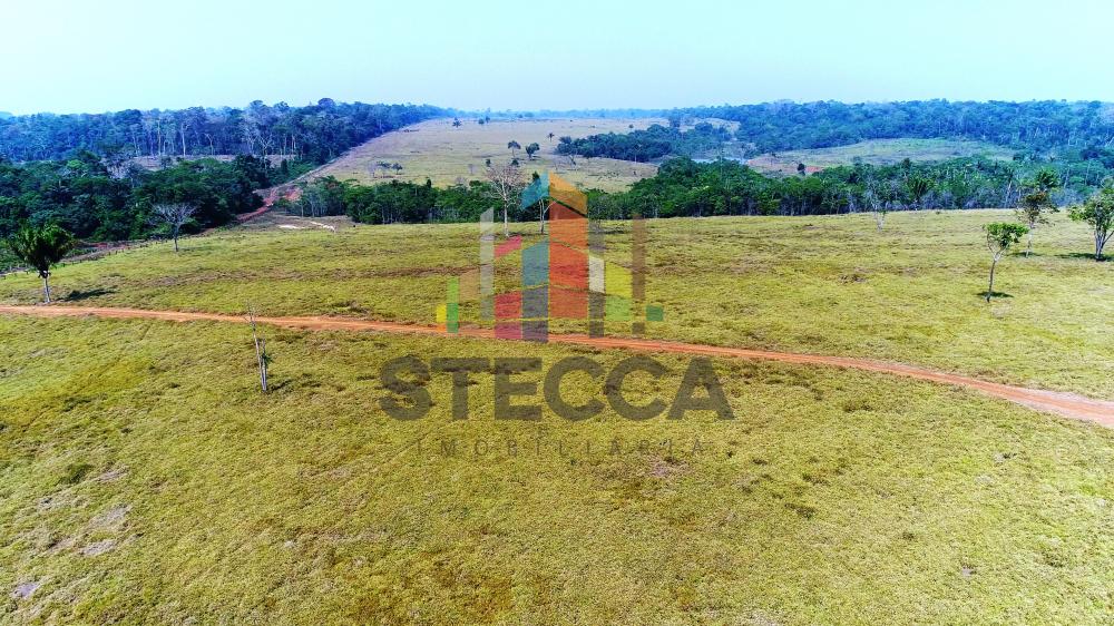 Comprar Rurais / Fazenda em Parecis apenas R$ 4.375.000,00 - Foto 21 Comprar Rurais / Fazenda em Parecis apenas R$ 4.375.000,00 - Foto 21