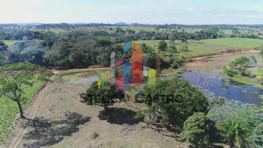 Comprar Rurais / Chácara em CACOAL apenas R$ 400.000,00 - Foto 3 Comprar Rurais / Chácara em CACOAL apenas R$ 400.000,00 - Foto 3