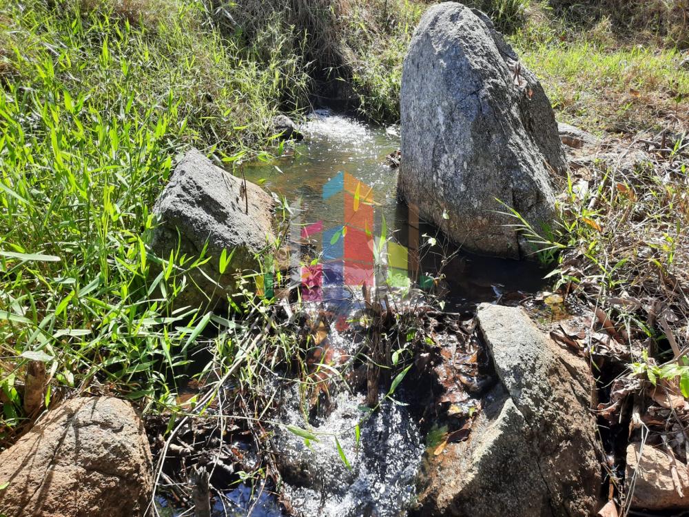 Comprar Rurais / Chácara em CACOAL apenas R$ 400.000,00 - Foto 10 Comprar Rurais / Chácara em CACOAL apenas R$ 400.000,00 - Foto 10