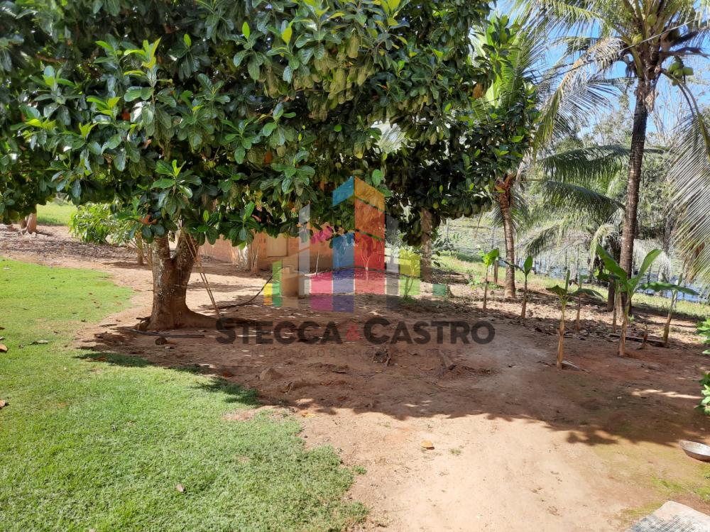 Comprar Rurais / Chácara em CACOAL apenas R$ 400.000,00 - Foto 24 Comprar Rurais / Chácara em CACOAL apenas R$ 400.000,00 - Foto 24
