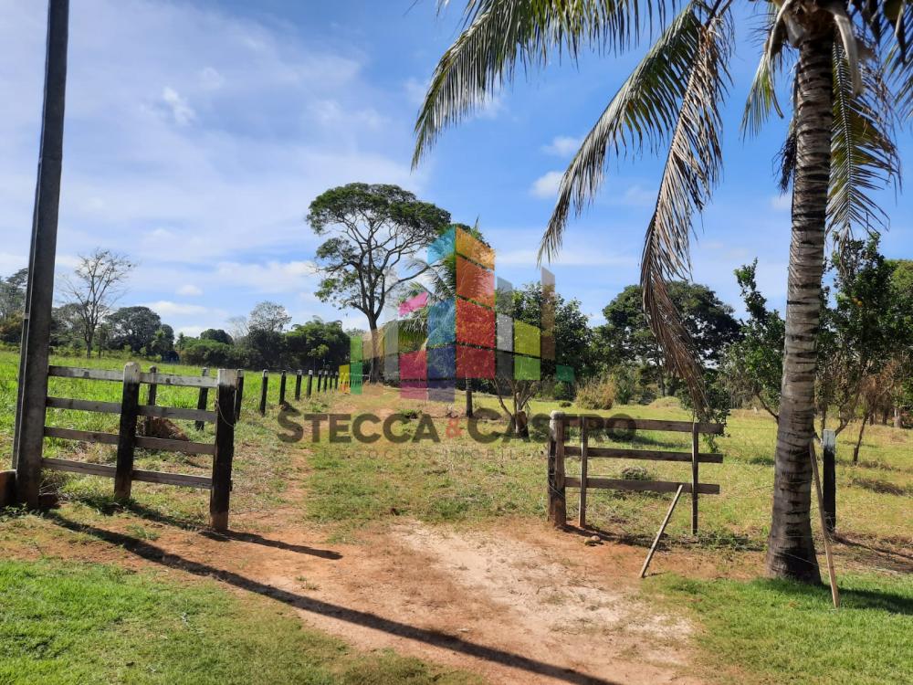 Comprar Rurais / Chácara em CACOAL apenas R$ 400.000,00 - Foto 27 Comprar Rurais / Chácara em CACOAL apenas R$ 400.000,00 - Foto 27