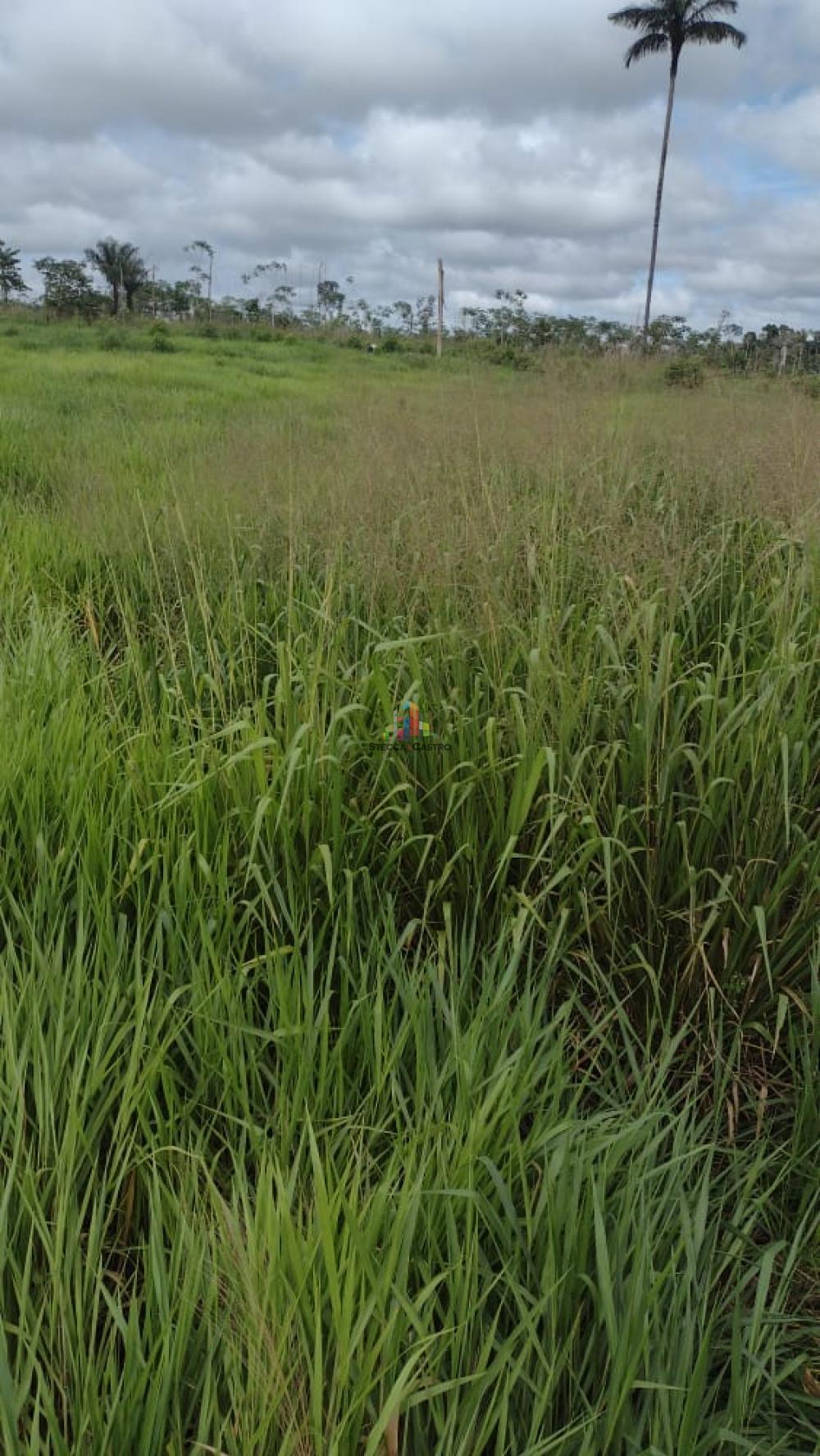 Comprar Rurais / RURAL em Machadinho D`Oeste R$ 280.000,00 - Foto 1 Comprar Rurais / RURAL em Machadinho D`Oeste R$ 280.000,00 - Foto 1