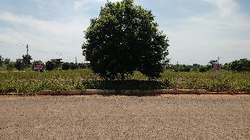 Comprar Terrenos / Terreno em São Miguel do Guaporé R$ 30.000,00 - Foto 2 Comprar Terrenos / Terreno em São Miguel do Guaporé R$ 30.000,00 - Foto 2
