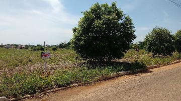 Comprar Terrenos / Terreno em São Miguel do Guaporé R$ 30.000,00 - Foto 5 Comprar Terrenos / Terreno em São Miguel do Guaporé R$ 30.000,00 - Foto 5