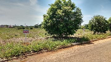 Comprar Terrenos / Terreno em São Miguel do Guaporé R$ 30.000,00 - Foto 6 Comprar Terrenos / Terreno em São Miguel do Guaporé R$ 30.000,00 - Foto 6
