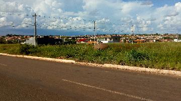 Alugar Terrenos / Terreno em CACOAL R$ 1.500,00 - Foto 3 Alugar Terrenos / Terreno em CACOAL R$ 1.500,00 - Foto 3