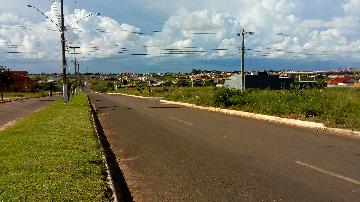 Alugar Terrenos / Terreno em CACOAL R$ 1.500,00 - Foto 4 Alugar Terrenos / Terreno em CACOAL R$ 1.500,00 - Foto 4