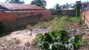 imagem 1 - Terrenos - Terreno imagem 1 - Terrenos - Terreno