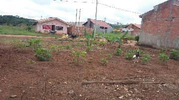 imagem 2 - Terrenos - Terreno imagem 2 - Terrenos - Terreno