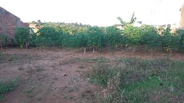 imagem 3 - Terrenos - Terreno imagem 3 - Terrenos - Terreno