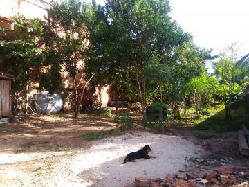 imagem 2 - Terrenos - Terreno imagem 2 - Terrenos - Terreno