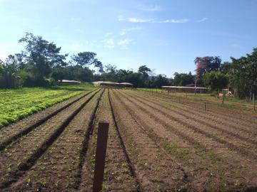 imagem 4 - Terrenos - Terreno imagem 4 - Terrenos - Terreno