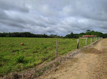 imagem 2 - Rurais - RURAL imagem 2 - Rurais - RURAL