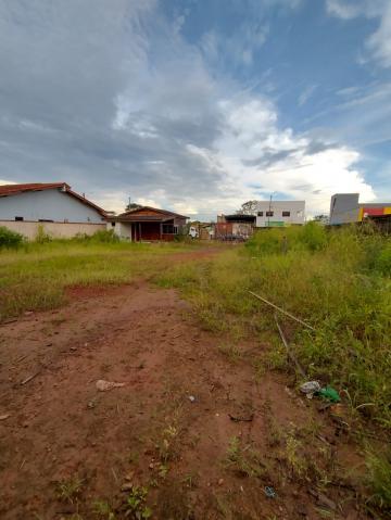 imagem 2 - Terrenos - Terreno imagem 2 - Terrenos - Terreno