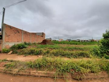 imagem 1 - Terrenos - Terreno imagem 1 - Terrenos - Terreno
