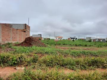 imagem 2 - Terrenos - Terreno imagem 2 - Terrenos - Terreno