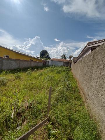 TERRENO A VENDA BAIRRO NOVO CACOAL