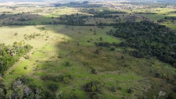 imagem 5 - SITIO 39 ALQUEIRES imagem 5 - SITIO 39 ALQUEIRES