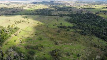 imagem 4 - SITIO 39 ALQUEIRES imagem 4 - SITIO 39 ALQUEIRES