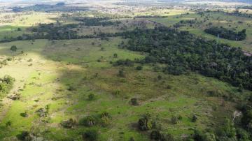 imagem 3 - SITIO 39 ALQUEIRES imagem 3 - SITIO 39 ALQUEIRES