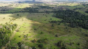 imagem 2 - SITIO 39 ALQUEIRES imagem 2 - SITIO 39 ALQUEIRES