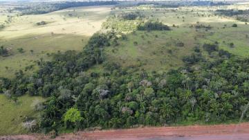 imagem 1 - SITIO 39 ALQUEIRES imagem 1 - SITIO 39 ALQUEIRES