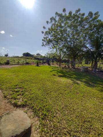 imagem 2 - CHACARA A VENDA LINHA 7 imagem 2 - CHACARA A VENDA LINHA 7
